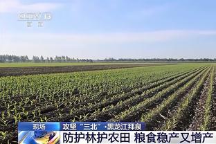 太阳报：曼联委托美国公司寻找顶级球探，候选人首先要视频面试